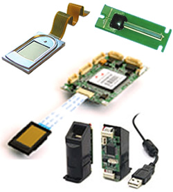 Moduli e compinenti OEM